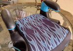 Evenflo Big Kid AMP Booster Car Seat