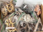 Britain’s England vintage toy animals