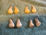 Elk Ivory Teeth