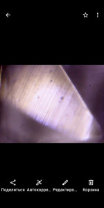 Sapphire Padparadscha