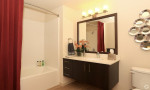 MODERN 1 BEDROOM APARTMENT FOR RENT IN MANHATTAN AREA