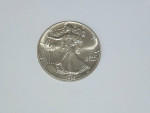 Lady Liberty 1989  Silver Eagle