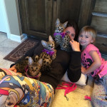 Silva savannah kittens for sale