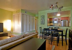MODERN 1 BEDROOM APARTMENT FOR RENT IN NORTH BERKELEY