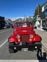 1990 Jeep Wagoneer Limited 96,000 mi