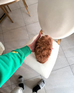 Adorable Pomeranian Puppies for adoption. We have 4 of them left . They are all 12 weeks old, 2 males and 2 females and are recent on all shots .