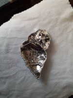Beautiful Sea shell brooch