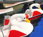 Boats for babies & Adults