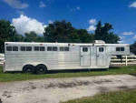 Horse For Sale's