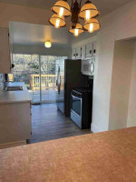 3 Br/2 bath recently remodeled classic house for rent