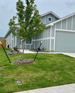 Hello, My husband and I are private Landlords, We have newly renovated houses and properties for rent and sales. Section 8 available as well. Inbox me for more information about the houses and properties... Thank you  and God bless you