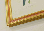 Colorful Stylish Picture Wood Frames. Width 1.2" x Height 1.2".