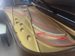 TOTALLY RESTORED STEINWAY ROCOCO STYLE III 8'6″ ROSEWOOD 1871 AVAILABLE