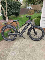 RAD ROVER 6 PLUS ELECTRIC BIKE