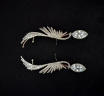 Earings