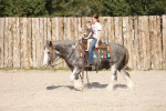 Prince Blue Boy, aka Blue!