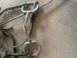 For Sale Due to Horse retirement