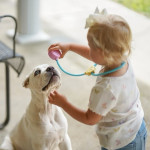 *Lovable Cane Corso Puppy Seeking Forever Home!* 🐾❤️