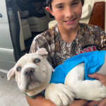 *Lovable Cane Corso Puppy Seeking Forever Home!* 🐾❤️