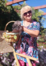 Pomeranian puppies for rehoming