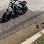 Mini bike