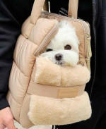 Adorable Maltese puppies for adoption