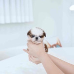 Because You Deserve the Best — Shop Smart, Live Better