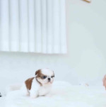 Because You Deserve the Best — Shop Smart, Live Better