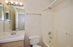 3 bedroom 2 bath house for rent