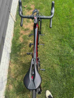 Trek  Émonda SL 6 2024