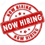 Personal assistant needed