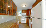 Beautiful house for rent