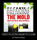 Breaking The Mold: How To Get Rid Of Mold Naturally