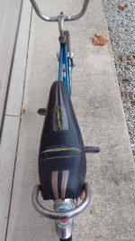 Western Flyer Buzz Bike