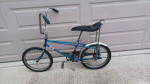 Western Flyer Buzz Bike