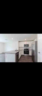 Tampa clean house for rent now open for $1100 monthly
