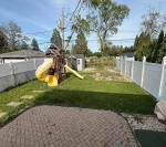 House for rent with immediate moving.