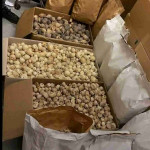 Buy dried poppy pods