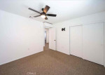 Pet friendly 3 bedrooms house for rent