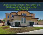 Beautiful house now for rent call for more details