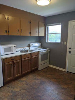 Cute 1 bedroom 1 bath apartment in the heart of 5 Points!