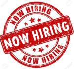 No skill needed. Work from home