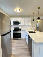 Lovely Apartment For Rent