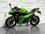 2024 Kawasaki Ninja 500 KRT