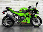 2024 Kawasaki Ninja 500 KRT