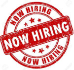 No experience needed to qualify