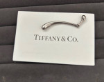 Tiffany & Co. Elsa Peretti Teardrop Single Earring Sterling Silver