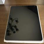 Apple iPad Pro 12.9" 6th Gen 128GB Space Gray Cellular + WiFi Bundle