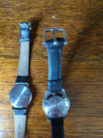 Pulsar Quartz Timex Watches