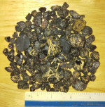 285g (10+oz) of Rough Idaho Garnets (Emerald Creek Star Garnets)